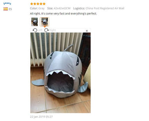 Shark Pet Bed